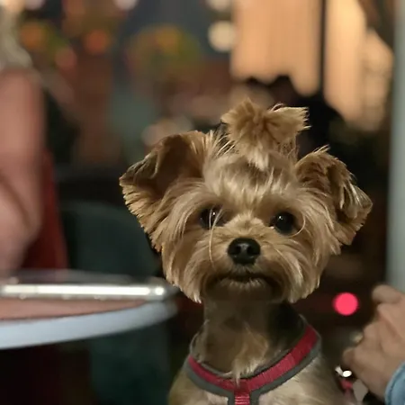 Daire Flamingo Rezidencia