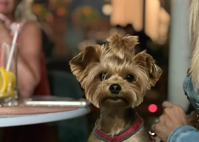 Apartment Flamingo Rezidencia